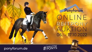 Ponyforum Reitpony Auktion