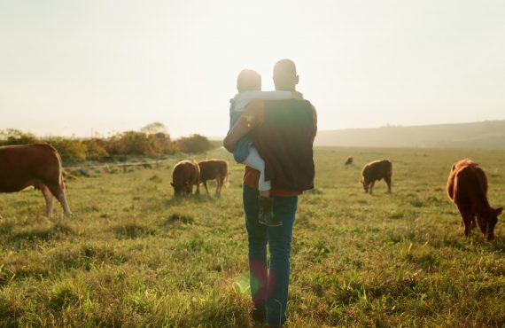 Family, farm and cattle with a girl and father walking on a field or grass meadow in the agricultural industry. Agriculture, sustainability and farming with a man farmer and daughter tending the cows.