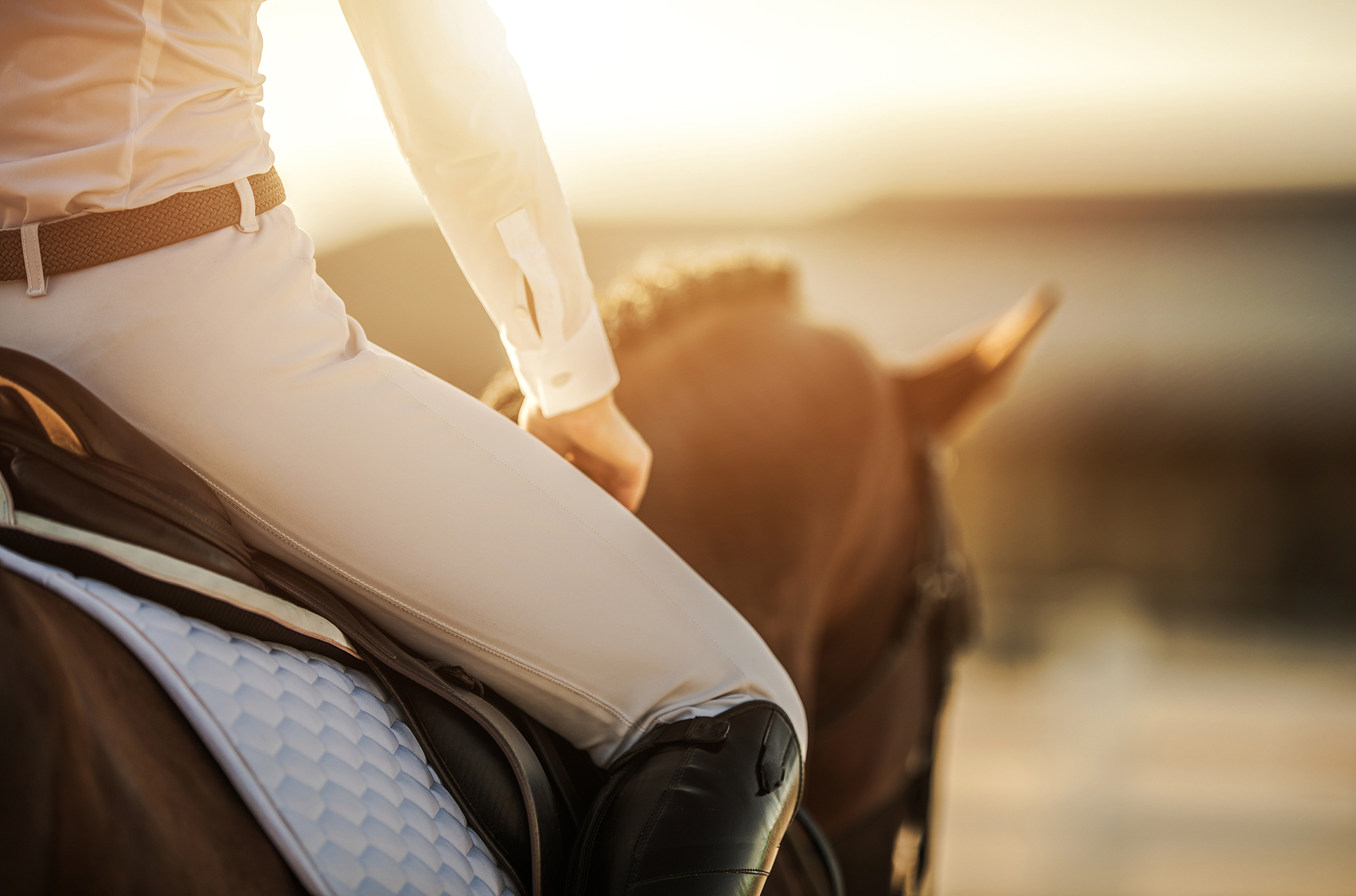 Frau sitzend auf Pferd im Sonnenlicht
